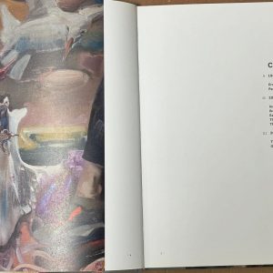 Alternative view of Retrospektiv de Maurice Mircea Novac