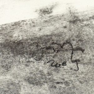 Alternative view of Nud - Florin Bârză
